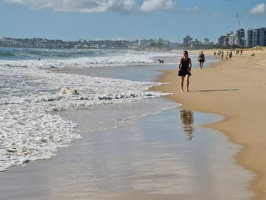 Pet Friendly Spacious Home With Lush Gardens, Pool Sunshine Coast Pacific Paradise 0*,